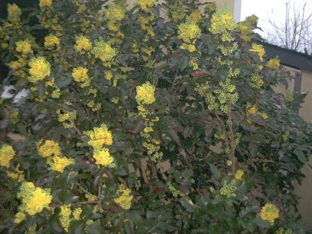 y&eacute;h&eacute; !