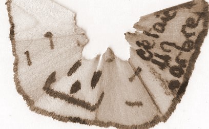 l'histoir !? de ...  ||  D |--  Jack > || nouveau delir ||