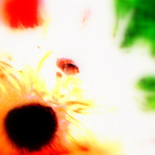 tendresse !! juin 06