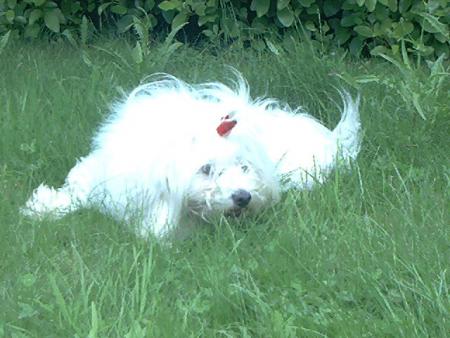 tendresse den tou c elan! kelke  foto de mon b&eacute;b&eacute; ki suivent!!: