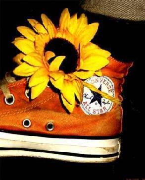 bon je pench pour l&eacute; orange ...