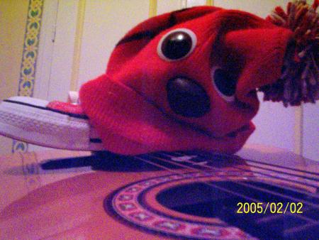 BONNET + CONV + GUITARE donne ... ma foto xD