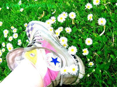 wouah jen nen revien pas moua meme :Y