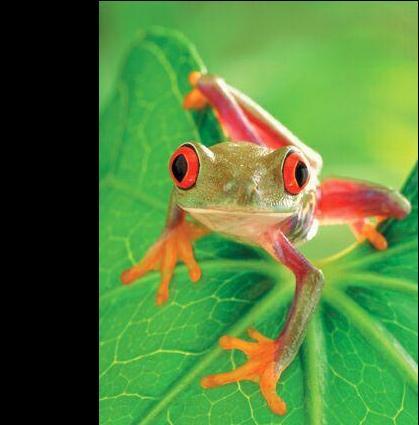 amateur de converses svp regardez ca xD